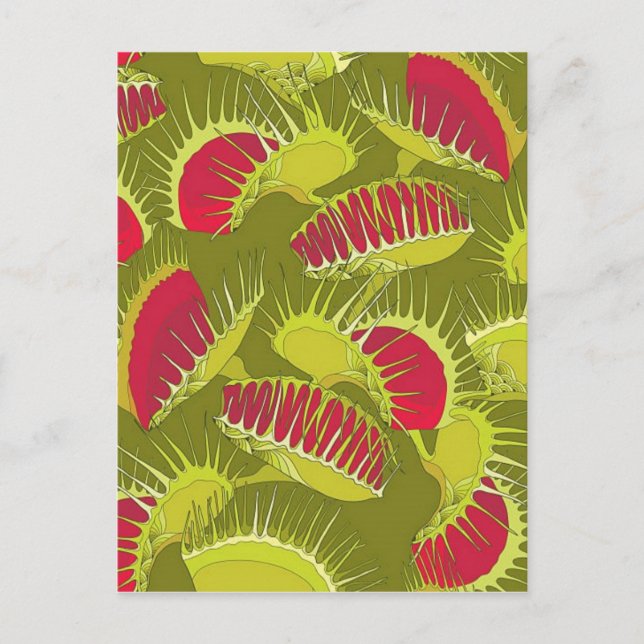 Postal trampa de mosca de halloween (Anverso)