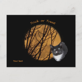 Postal Trampa o vístete de Halloween gato negro y luna