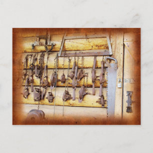 Postal Trampas del animal en Alaska