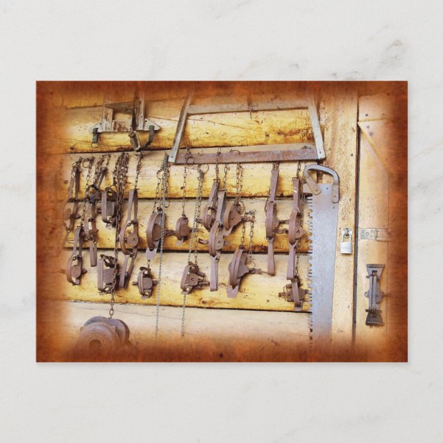 Postal Trampas del animal en Alaska (Anverso)