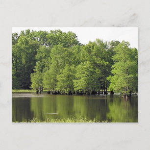 Postal Tranquiet Cove