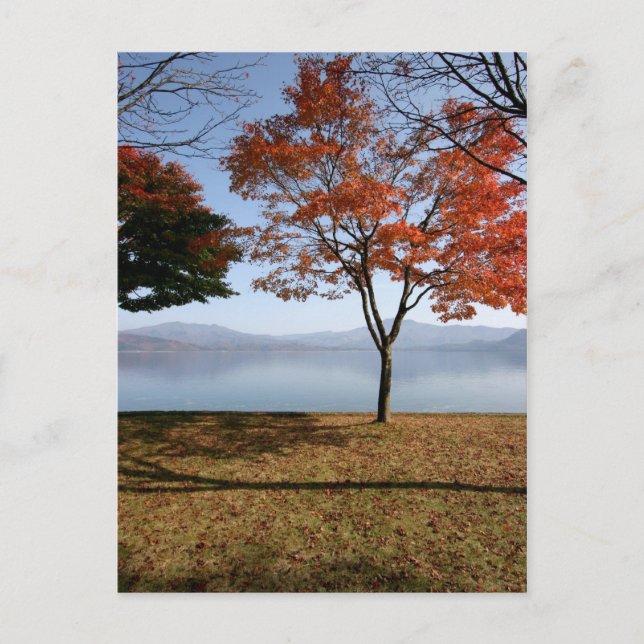 Postal Tranquilidad (Anverso)