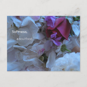 Postal Tranquilidad, comida de alma,