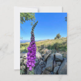 Postal Tranquilidad del campo inglés