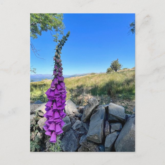 Postal Tranquilidad del campo inglés (Anverso)