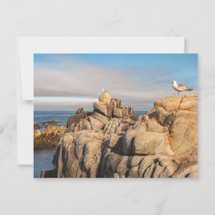 Postal Tranquilidad del paisaje marino en California