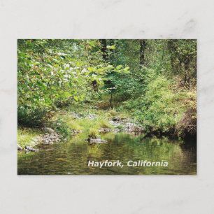 Postal Tranquilidad en el bosque.........