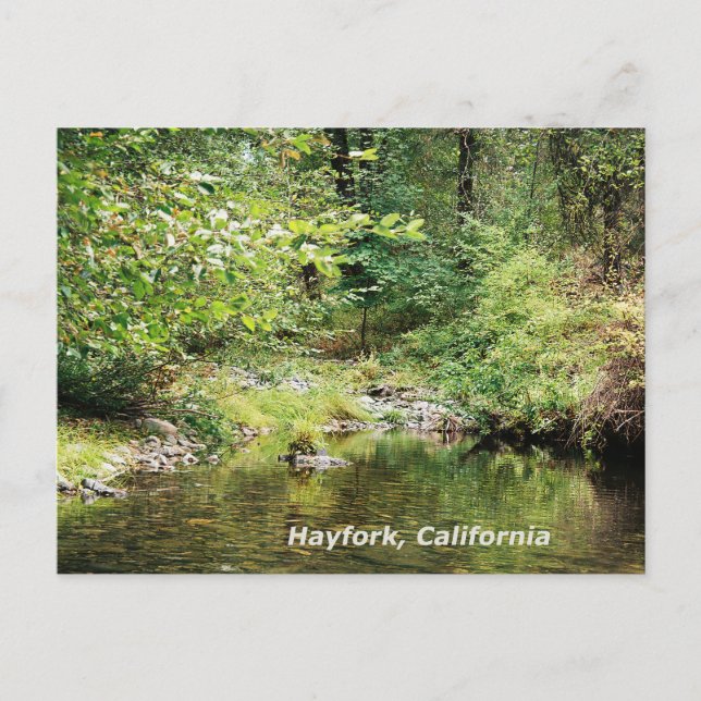 Postal Tranquilidad en el bosque......... (Anverso)