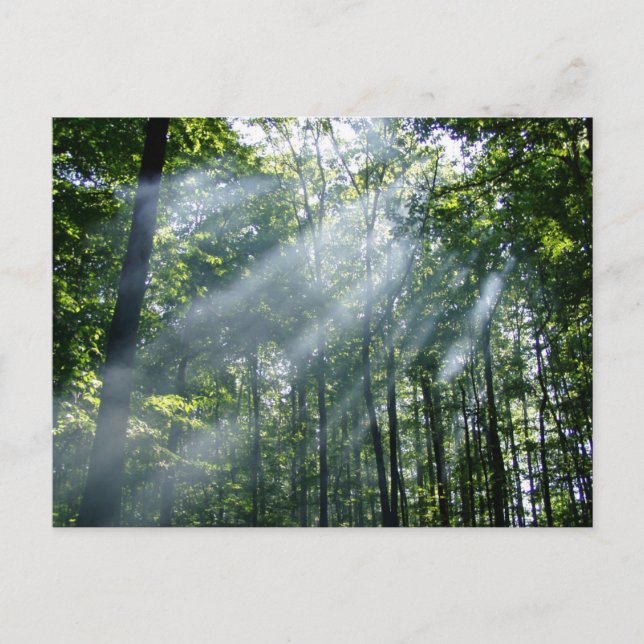 Postal Tranquilidad nebulosa (Anverso)