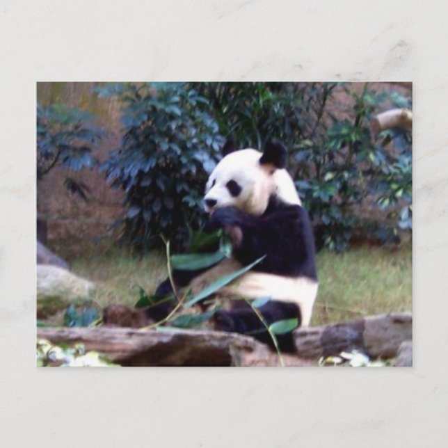 Postal Tranquilizador (Anverso)