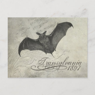 Postal Transilvania 1897 Bat Collage Post Card Halloween