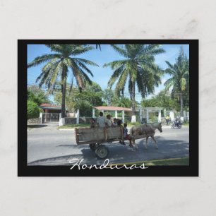 Postal transporte de la ceiba