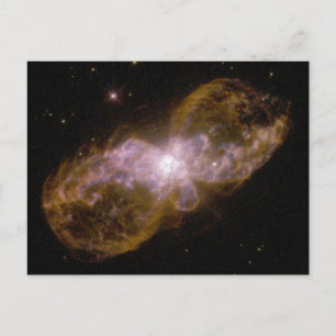 Postal Trantula Nebula