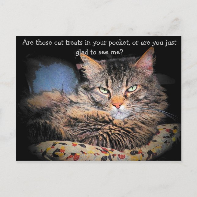 Postal ¿Tratamientos para gatos? o... (Anverso)