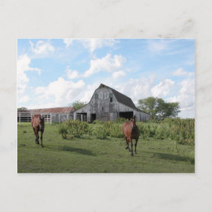 Postal Trato cordial