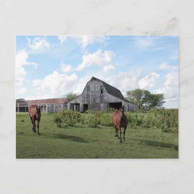 Postal Trato cordial (Anverso)