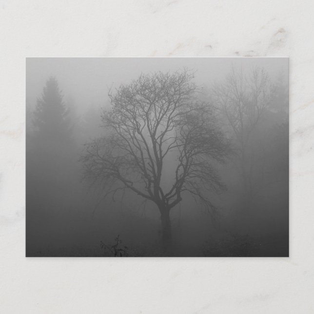 Postal Trauerkarte (Anverso)