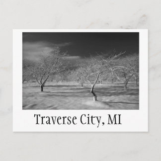 Postal Traverse City Cherry Orchard