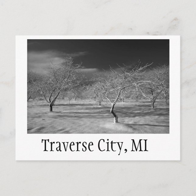Postal Traverse City Cherry Orchard (Anverso)