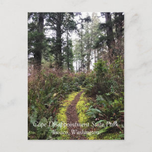 Postal Trayecto de buceo de bosques costeros, decepción d