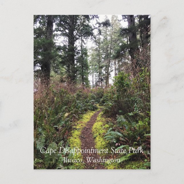Postal Trayecto de buceo de bosques costeros, decepción d (Anverso)