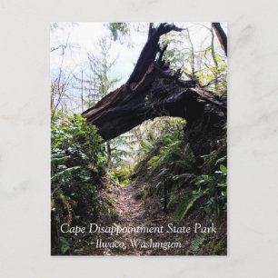 Postal Trayecto de buceo de bosques costeros, decepción d
