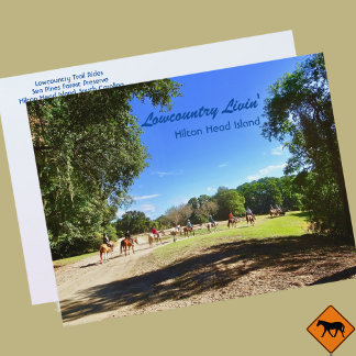 Postal Trayecto de caballos de Lowcountry Rides Hilton He