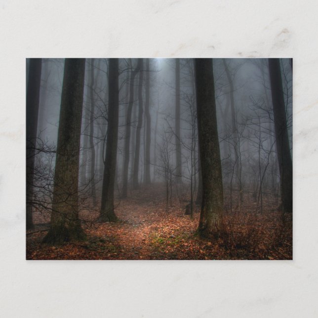 Postal Trayectoria brumosa a la montaña del top plano (Anverso)