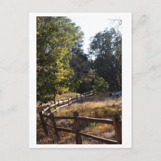 Postal Trayectoria de bosque