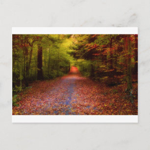 Postal Trayectorias en naturaleza