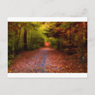 Postal Trayectorias en naturaleza