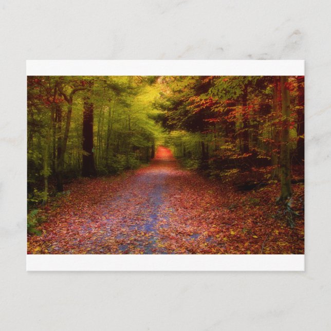 Postal Trayectorias en naturaleza (Anverso)