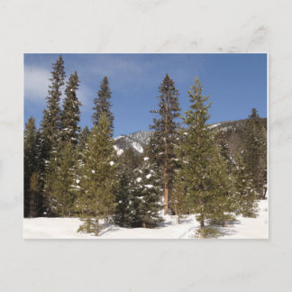 Postal Trayectos de montaña de Montana en fotografía de p