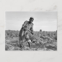 Trece años luciendo un campo en Georgia