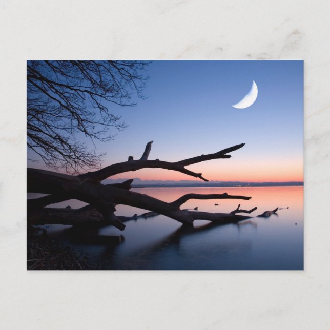 Postal Tree at Starnberg Lake | Muensing Bavaria Germany (Anverso)