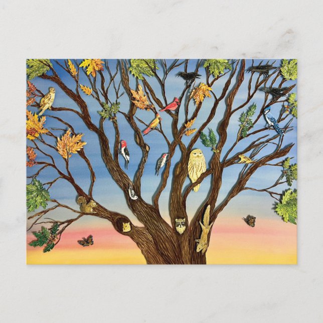 Postal Tree Canopy Postcard (Anverso)