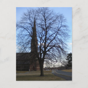 Postal Tree Downtown Hartford