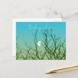 Postal Tree Photography