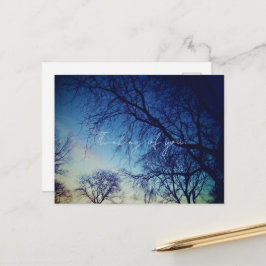 Postal Tree Photography