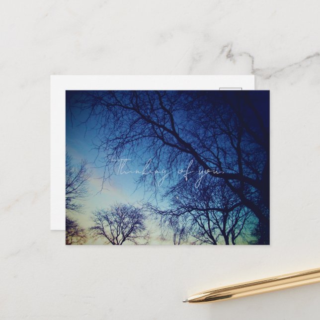 Postal Tree Photography (Anverso/Reverso In Situ)