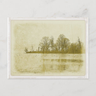 Postal Treeline
