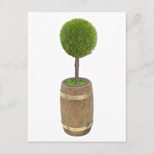 Postal TreePlantedRainBarrel050811