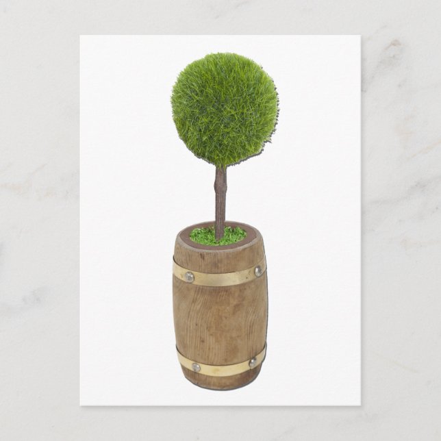 Postal TreePlantedRainBarrel050811 (Anverso)