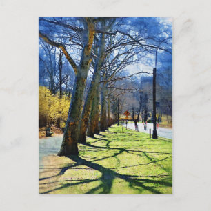 Postal Trees Central Park NY