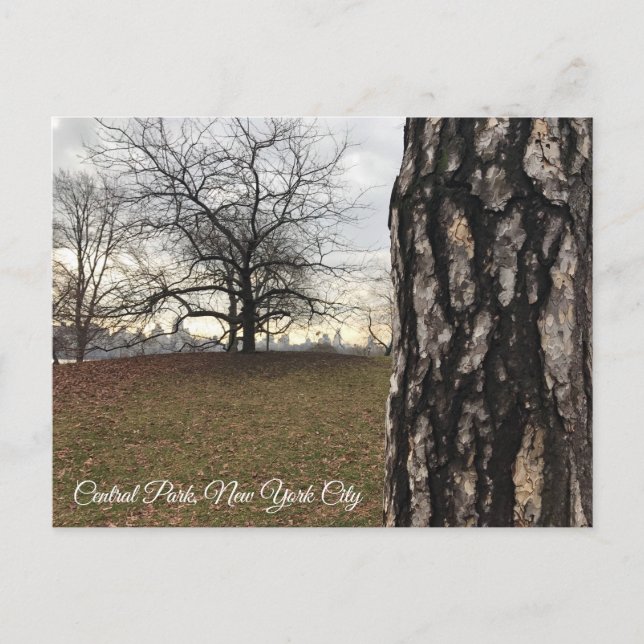 Postal Trees Nueva York NYC Sunrise Central Park Skyline (Anverso)