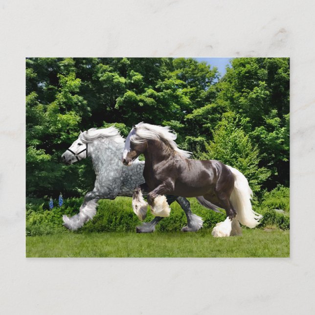 Postal "Tremayne & Caspian" (Anverso)