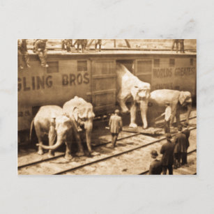 Postal Tren Bros Elephant de la Diapositiva de la Lintern