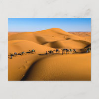 TREN CAMEL DESERT - Dunas de arena en Tamnougalt