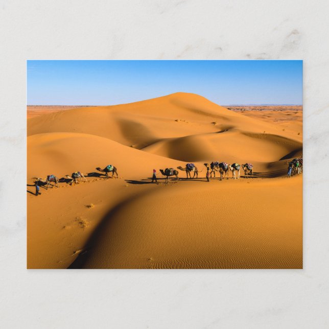 Postal TREN CAMEL DESERT - Dunas de arena en Tamnougalt (Anverso)
