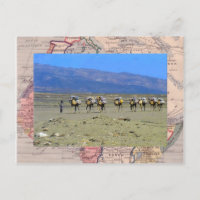 Tren de camello cruzando el desierto del Sahara